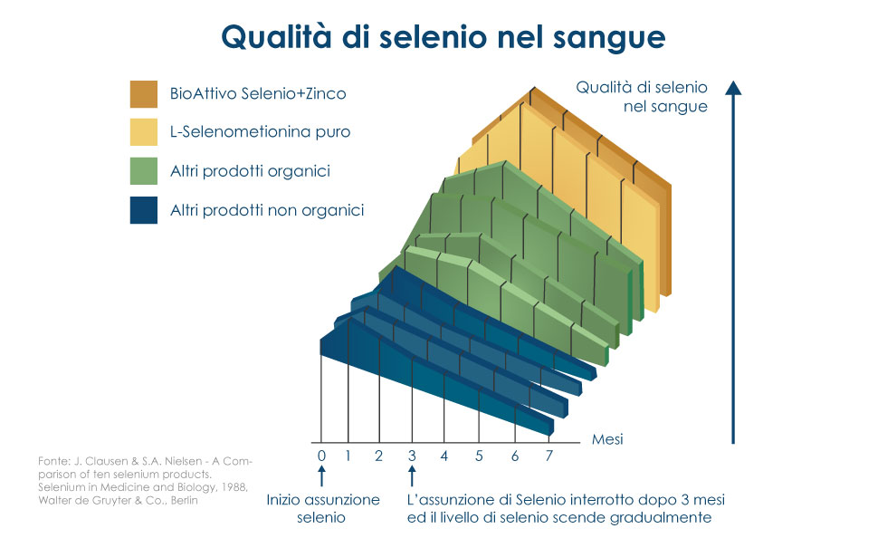 BioActivo Selénio Zinco 150 comprimidos BioActivo Selénio Zinco 150 comprimidos